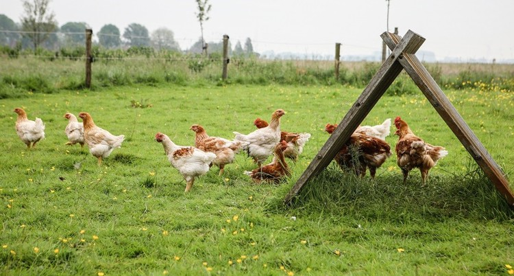 تصویر مقالات شرکت آریا